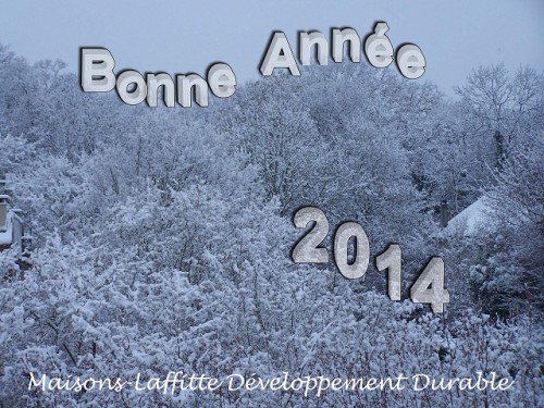 Bonne annee Arbres neige 2014 R20.jpg